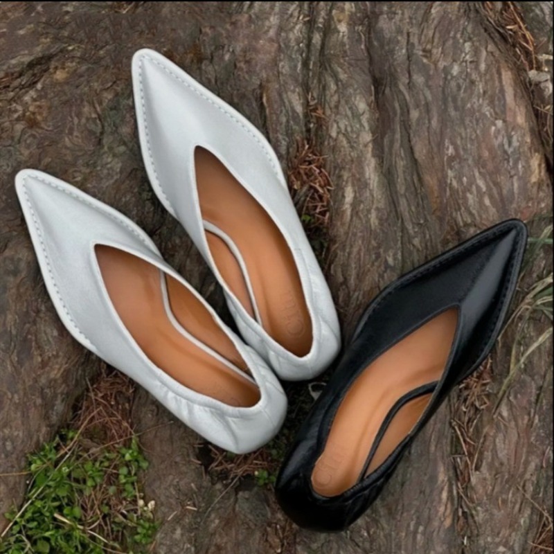 Women'S Fashion For 2025 - 2025 New Pointed Toe Single Shoes